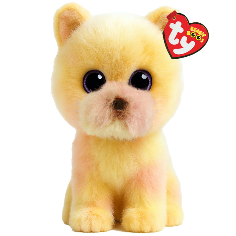 TY Palmer Pomeranian Beanie Boo 14cm – Soft Plush Toy for Kids – Collectible Cuddly Stuffed Animal Teddy Character Gift