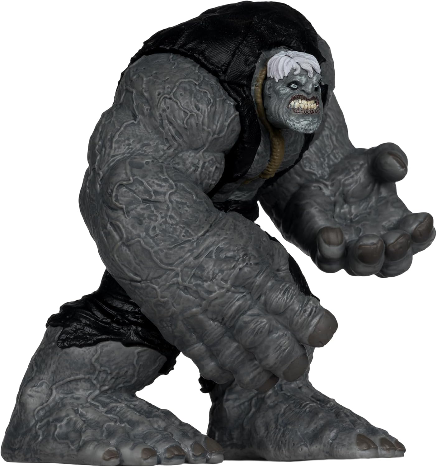McFarlane DC Direct Solomon Grundy Limited Edition Collector Vinyl (Todd's Mods) 4.5in Scale Posed Figure Toys