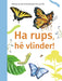 Ha rups he vlinder! - AVI M4