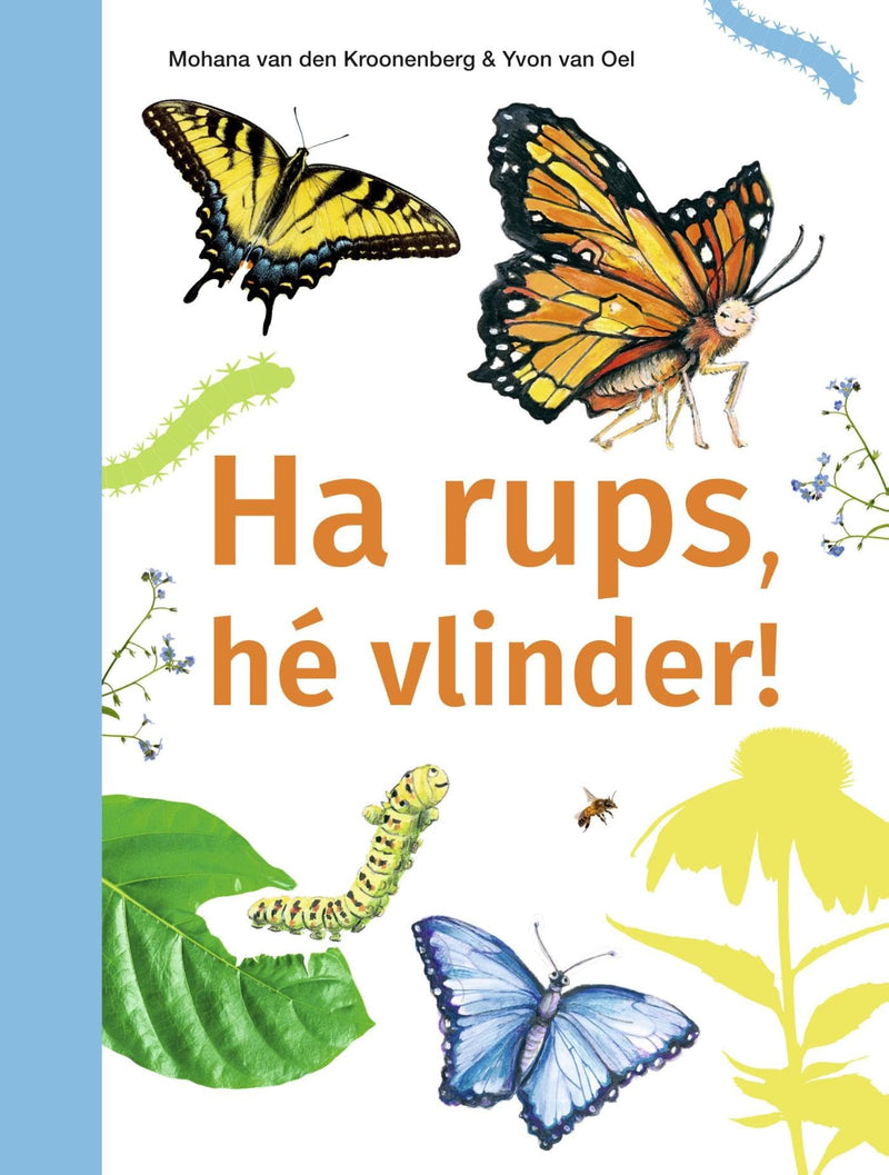 Ha rups he vlinder! - AVI M4