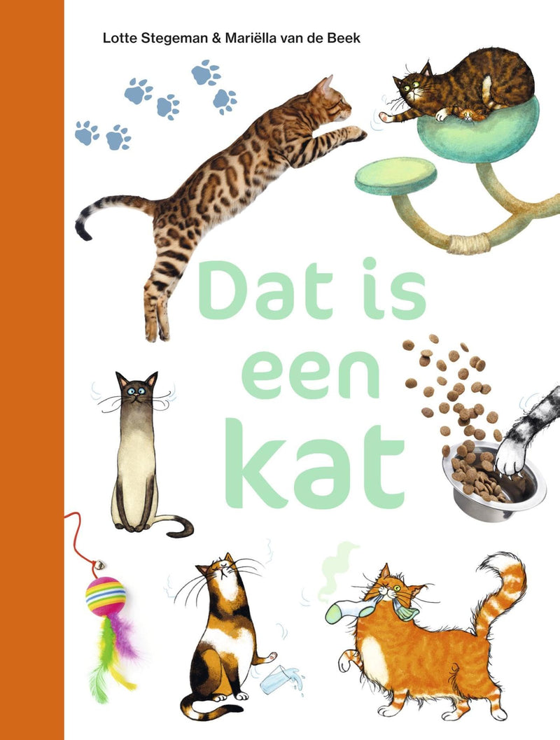 Dat is een kat - AVI E3