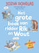 Het grote boek van ridder Rik en Wout - AVI E4