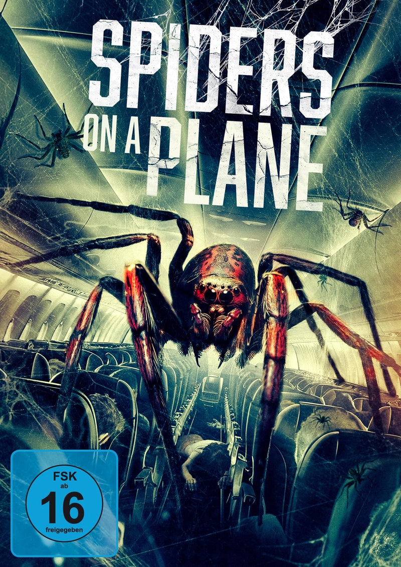 Spiders on a Plane
