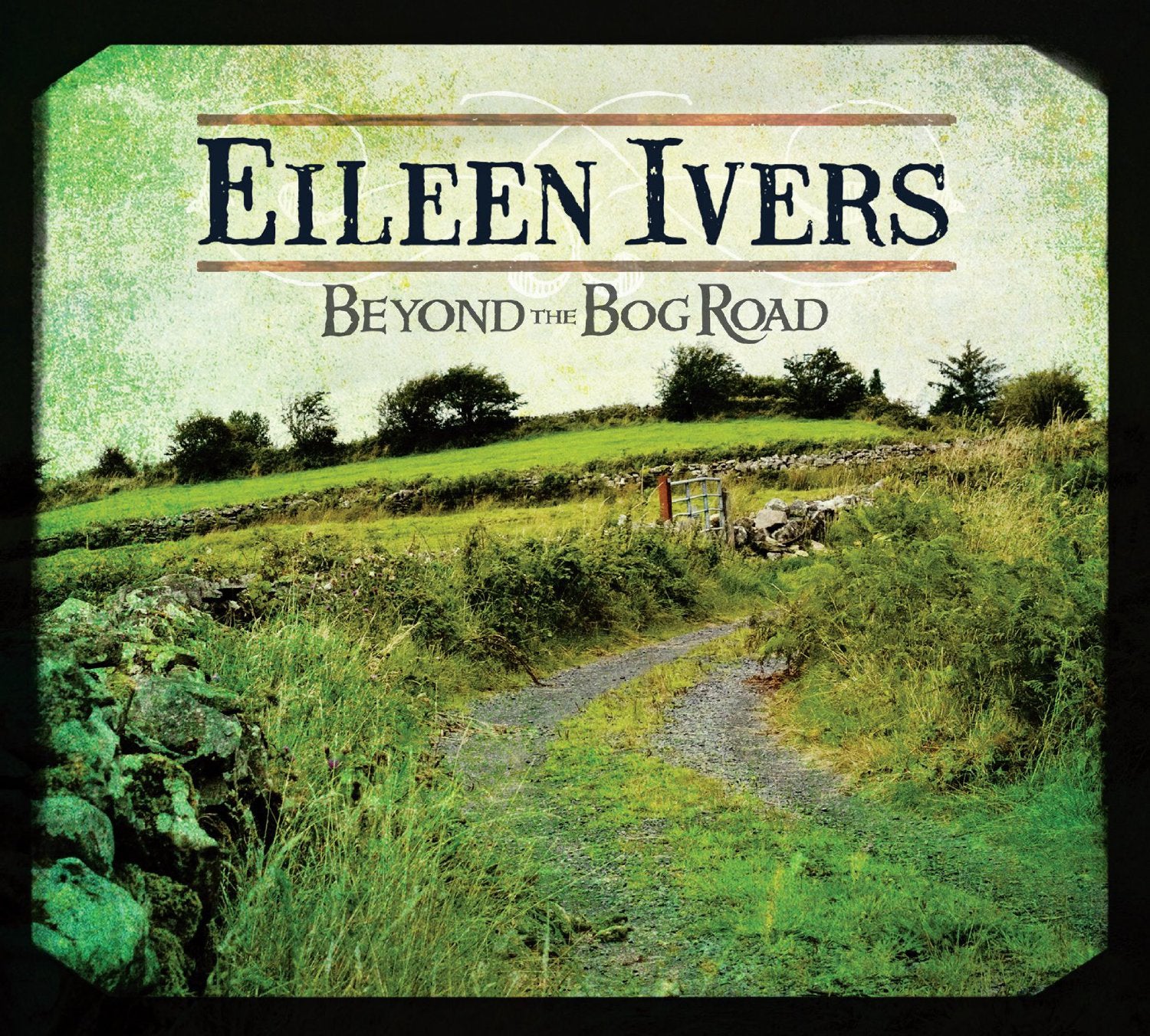 Beyond the Bog Road
