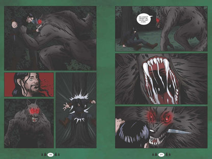 Grimm's Fairy Tales: A Graphic Novel