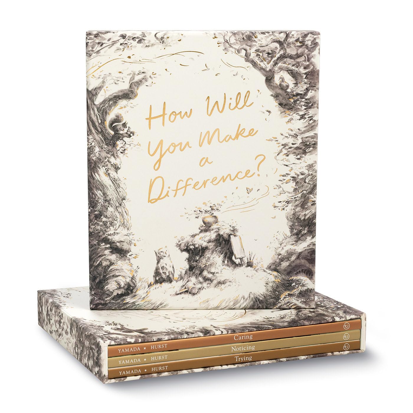 How Will You Make a Difference? Boxed Set: Trying; Noticing; Caring