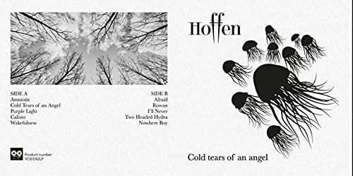 Cold Tears Of An Angel