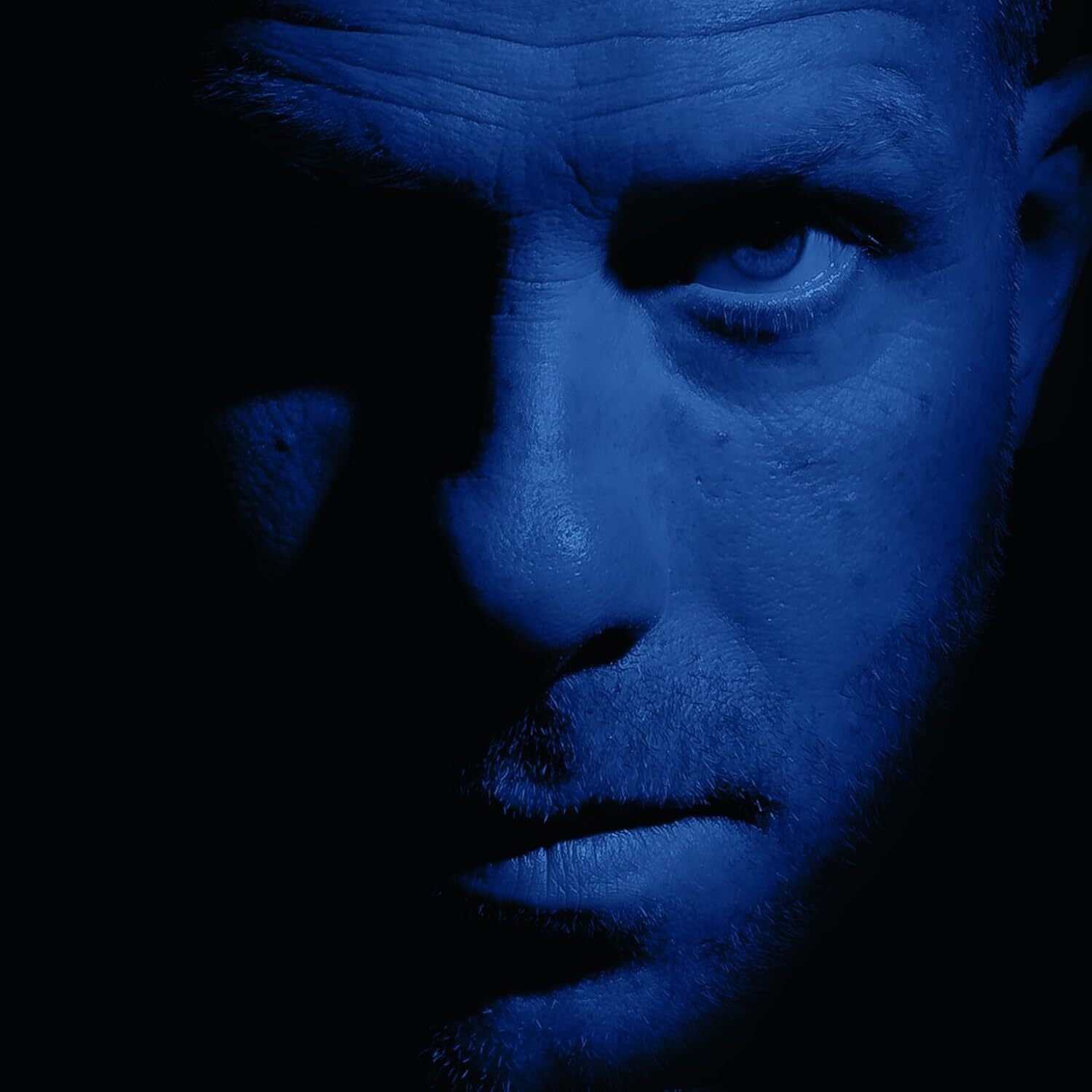 The Blue Album