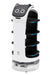Kotobukiya PUDU Grande Scale Bella Bot, Altezza Totale Circa 7.3 pollici (185 mm), Modello in Plastica Non Scala