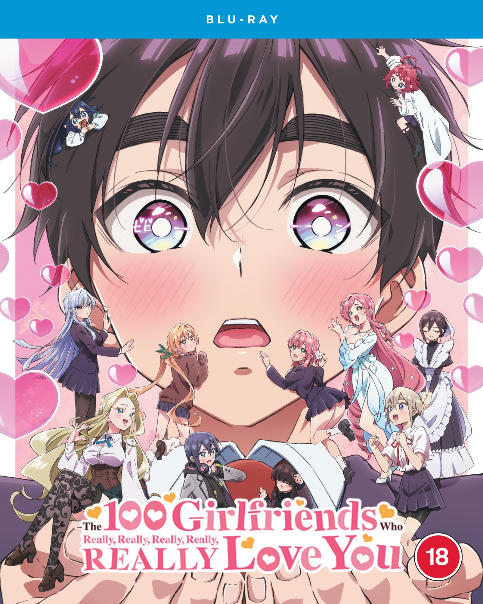 The 100 Girlfriends Who Really, Really, Really, Really, Really...