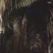 Urwald