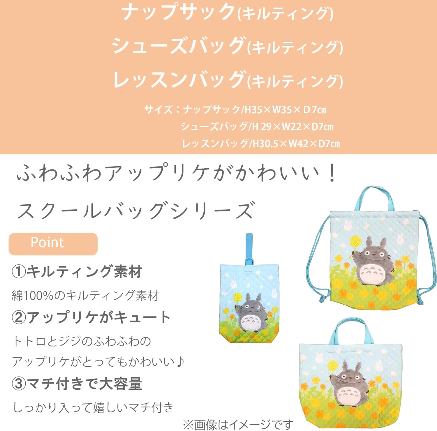 My Neighbor Totoro Lesson Bag Totoro Dandelion