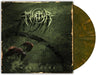 Warp Zone (Reissue)