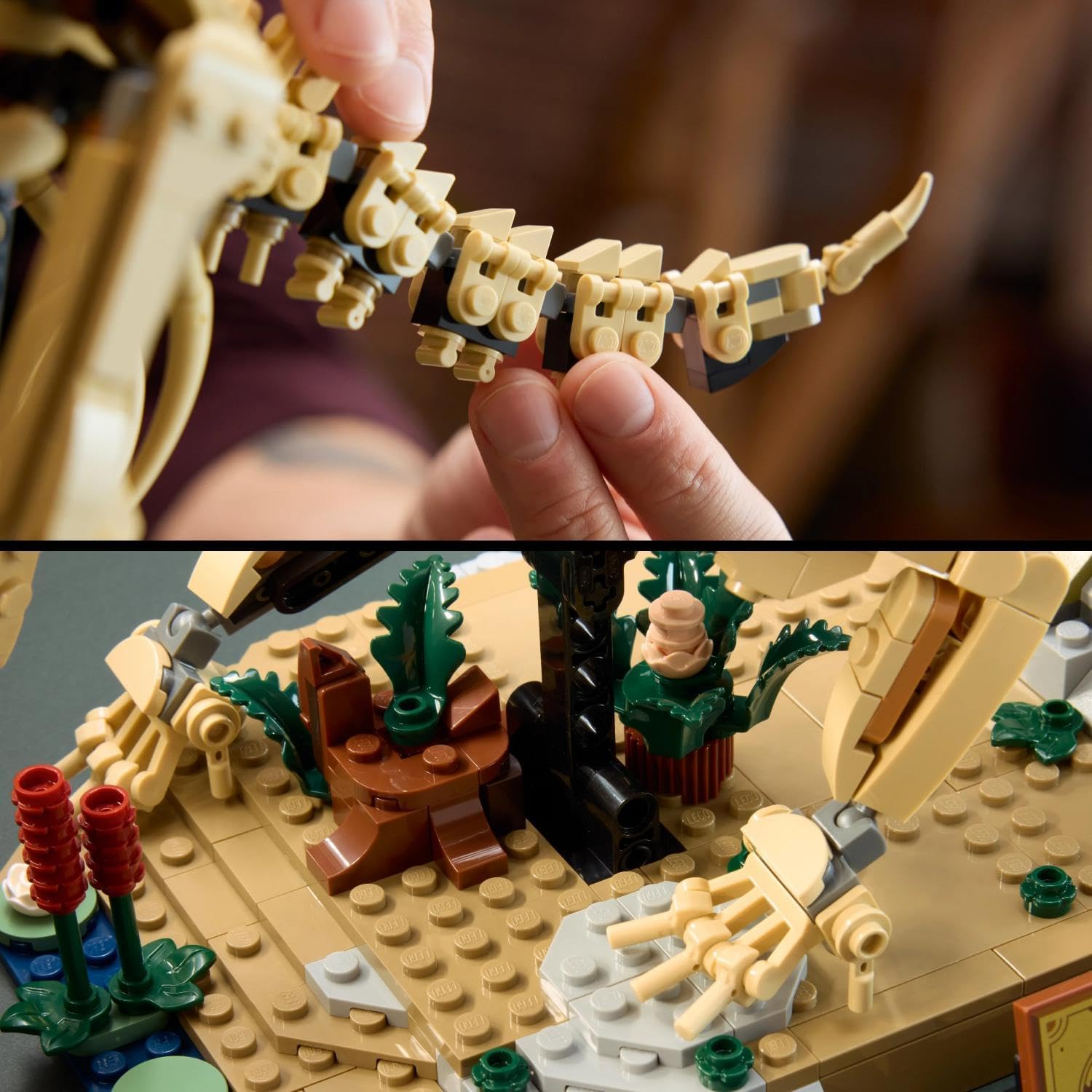 LEGO Jurassic World Dinosaurusfossielen: Triceratops – Display Bouwpakket voor Volwassenen met Dr. Gerry Harding Minifiguur – Woondecoratie – Cadeau voor Jurassic Park Fans – 77985