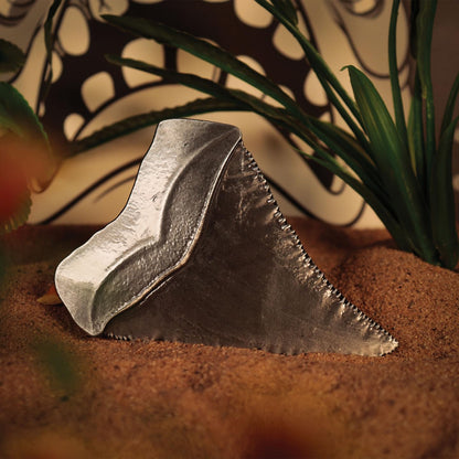FaNaTtik Jaws 50th Anniversary Shark Tooth Metal Medallion - Limited Edition Collectible with Art Card (Limited to 1.975 worldwide