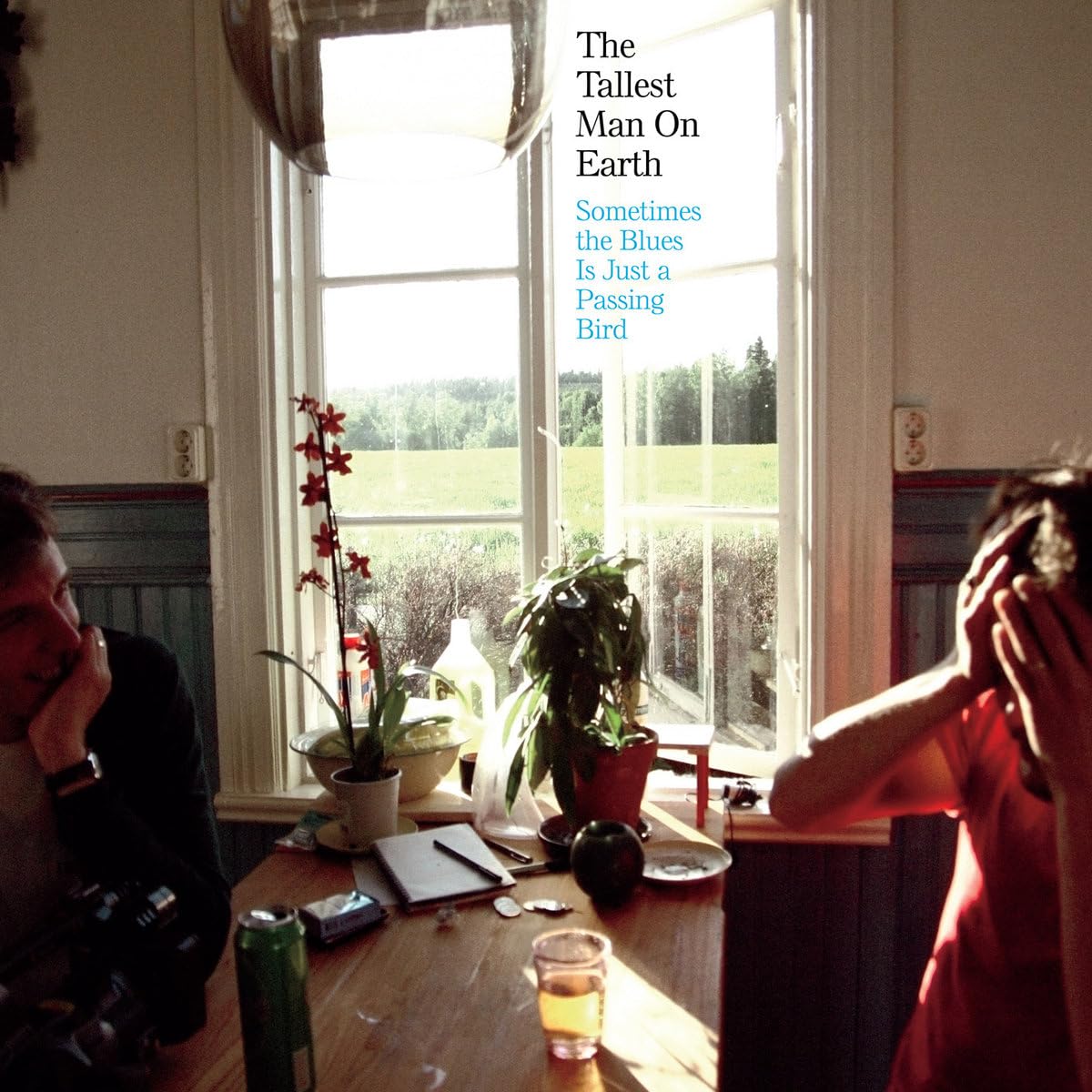 Sometimes The Blues Is (...) [Revinyl]