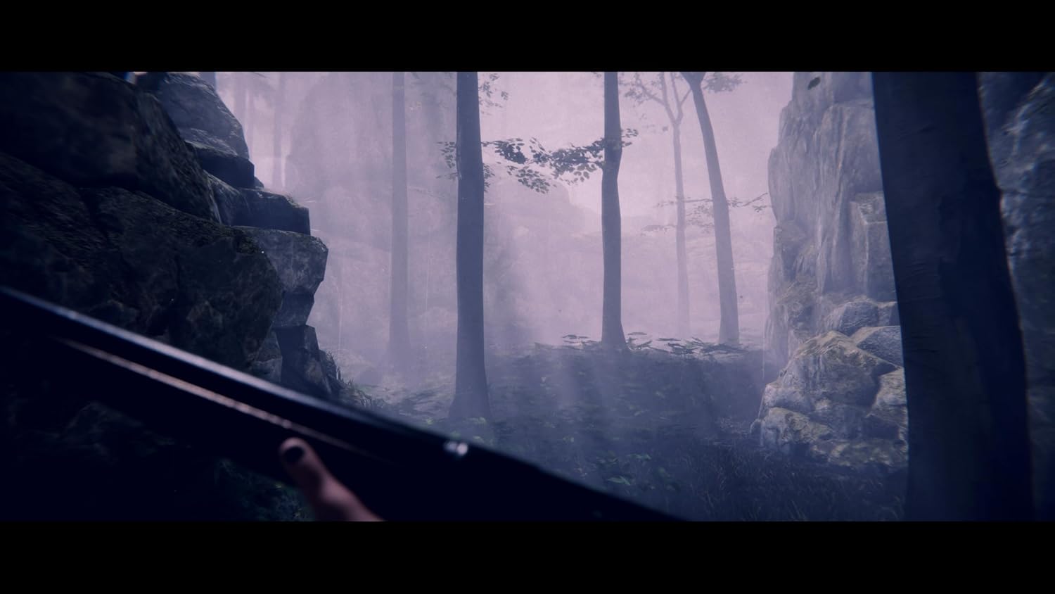Project Songbird (PlayStation 5