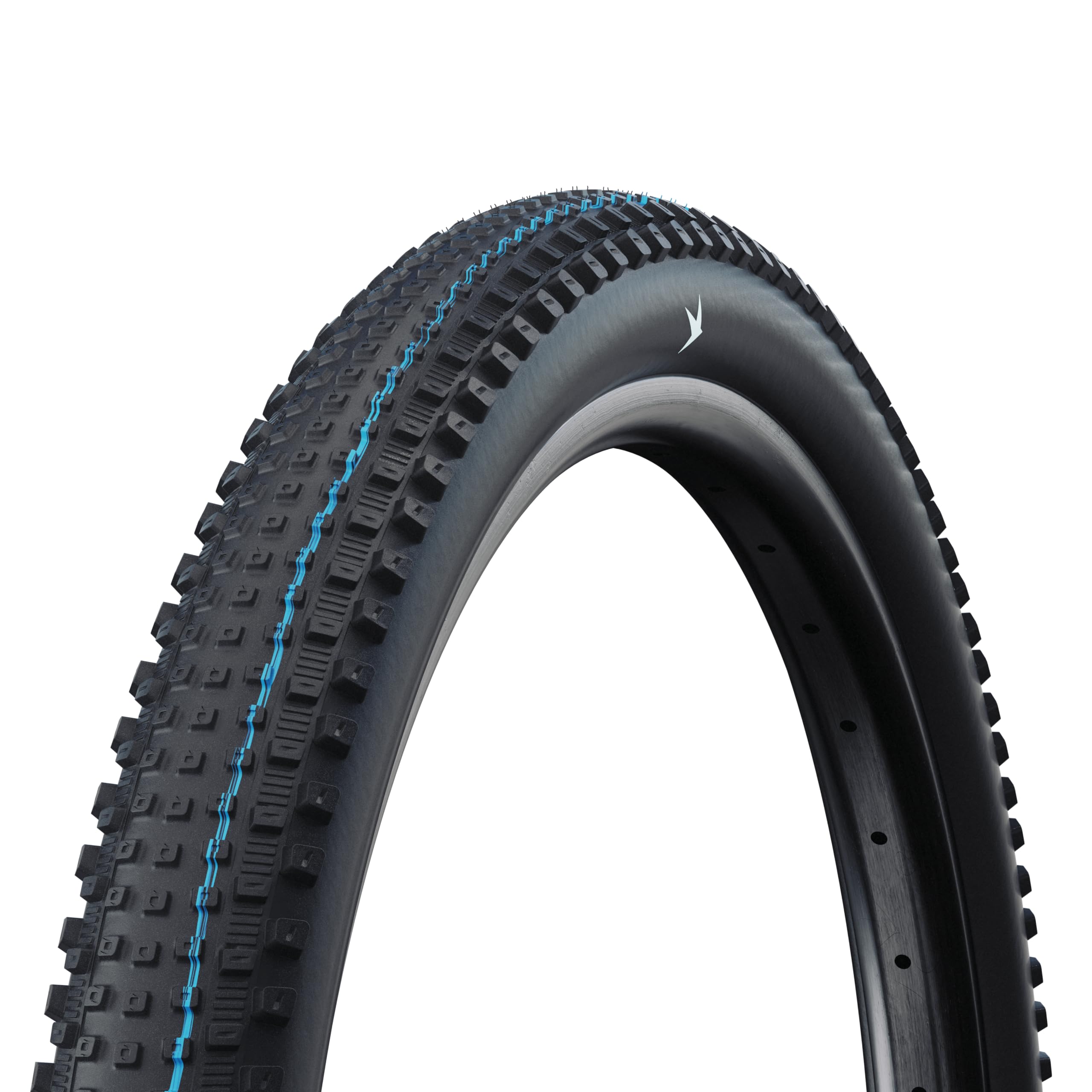 SCHWALBE Rick Evo, XC PRO, TLR