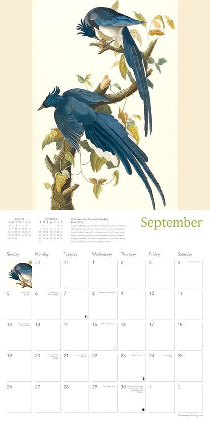 Fitzwilliam Museum: Audubon Birds Wall Calendar 2027 (Art Calendar