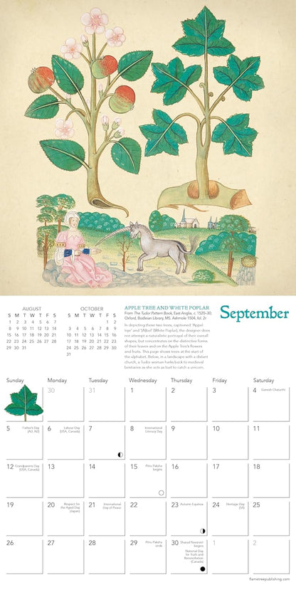 Bodleian Libraries: Tudor Botanicals Mini Wall Calendar 2027 (Art Calendar