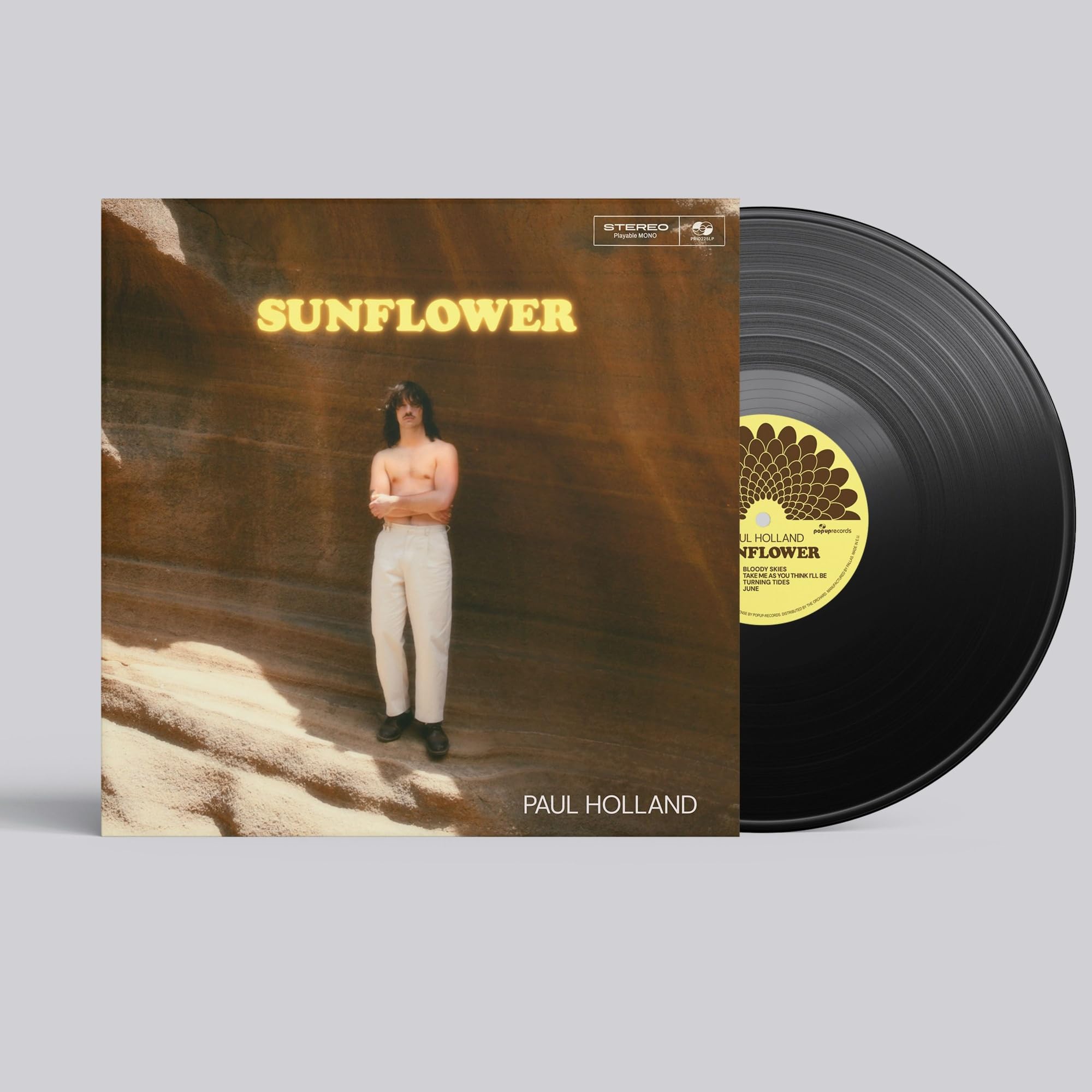 Sunflower