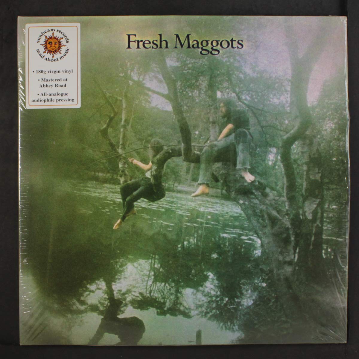 Fresh Maggots
