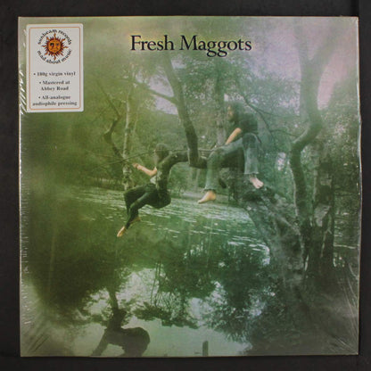 Fresh Maggots