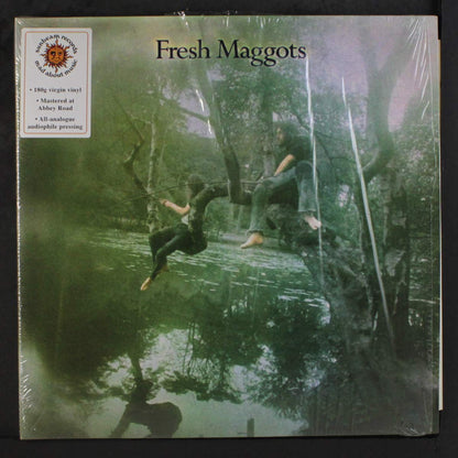 Fresh Maggots