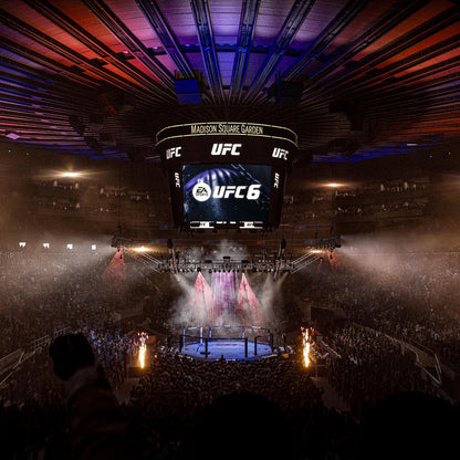 EA Sports UFC 6 I Standard Edition PlayStation 5 | Disco | Videogiochi | Multilingua