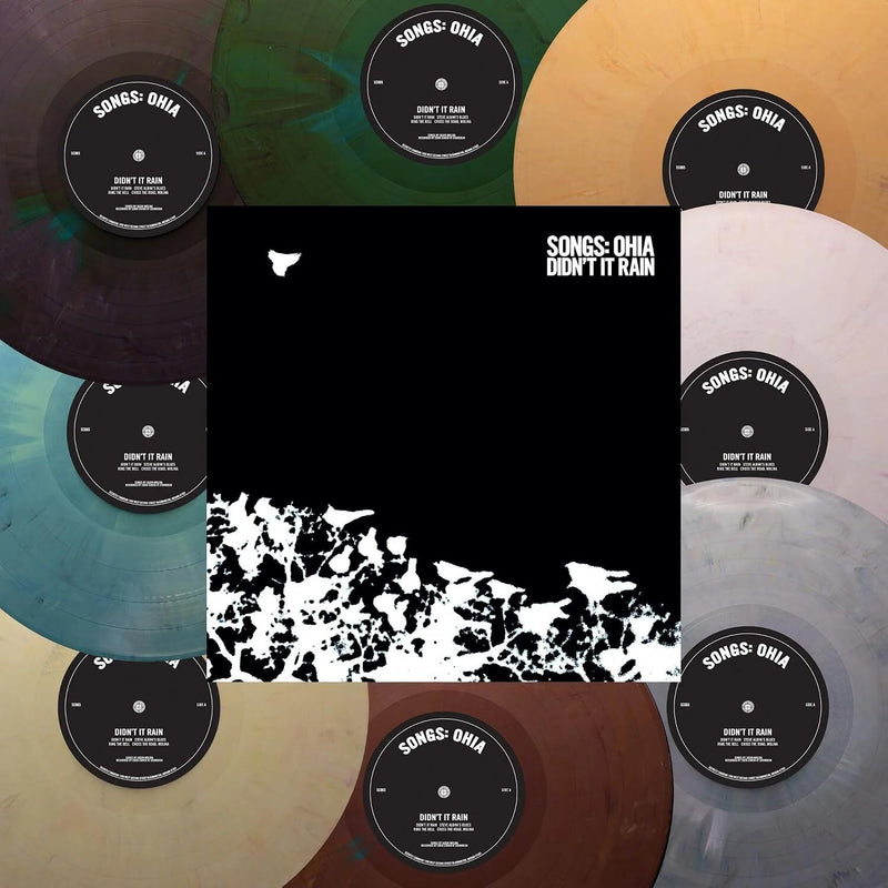 Didn't It Rain (ReVINYL Edition)