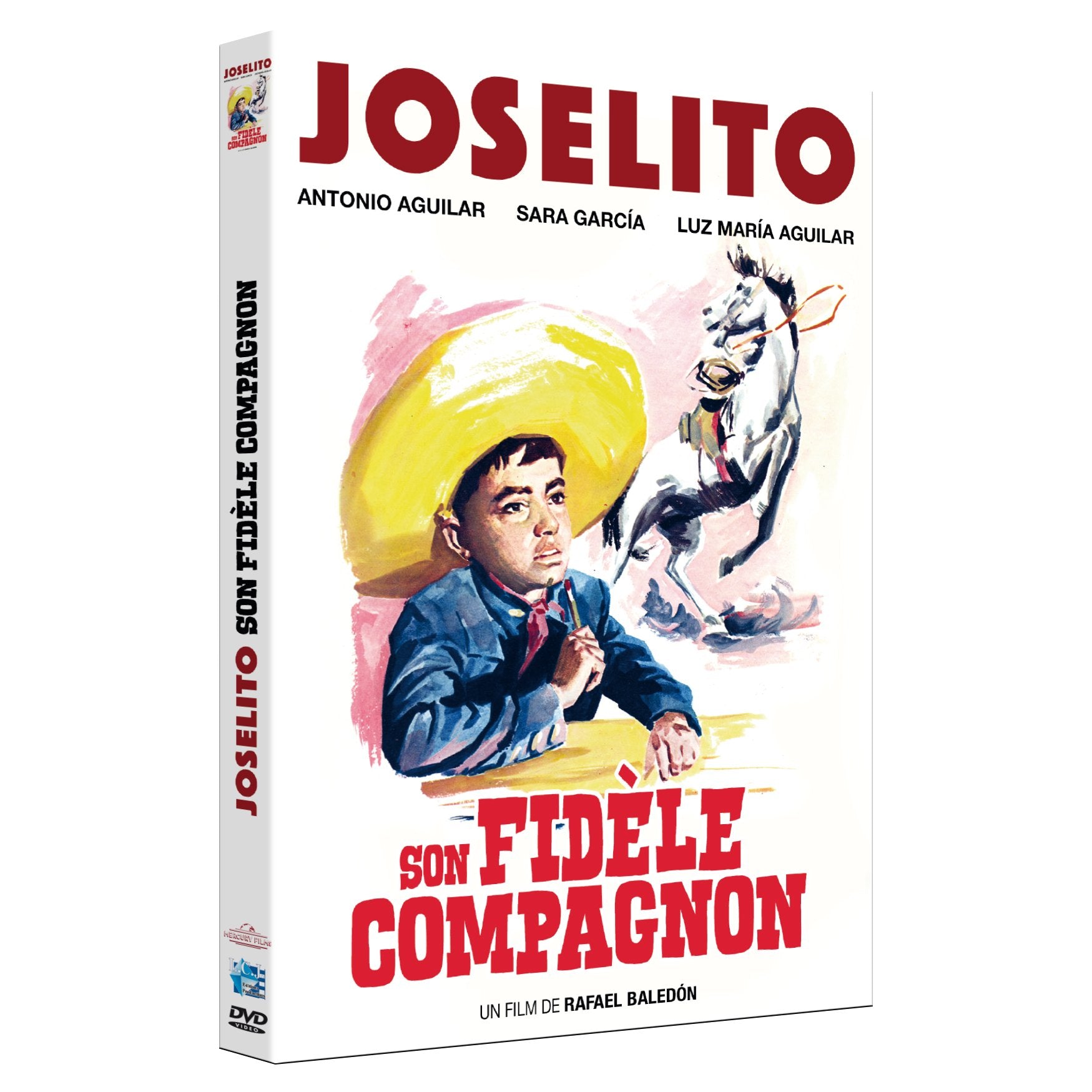 Joselito, son fidèle compagnon