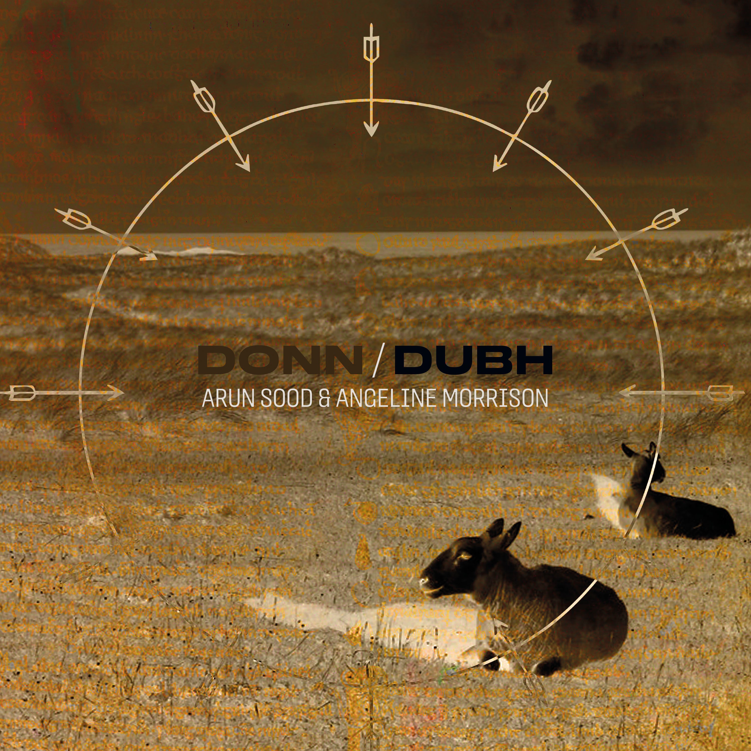 Donn/Dubh