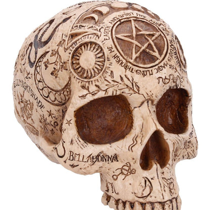 Apothecary Skull Figurine – Occult Gothic Decorative Skull Ornament