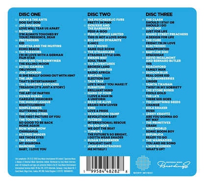 The Hits Album: The Alternative Pop Album
