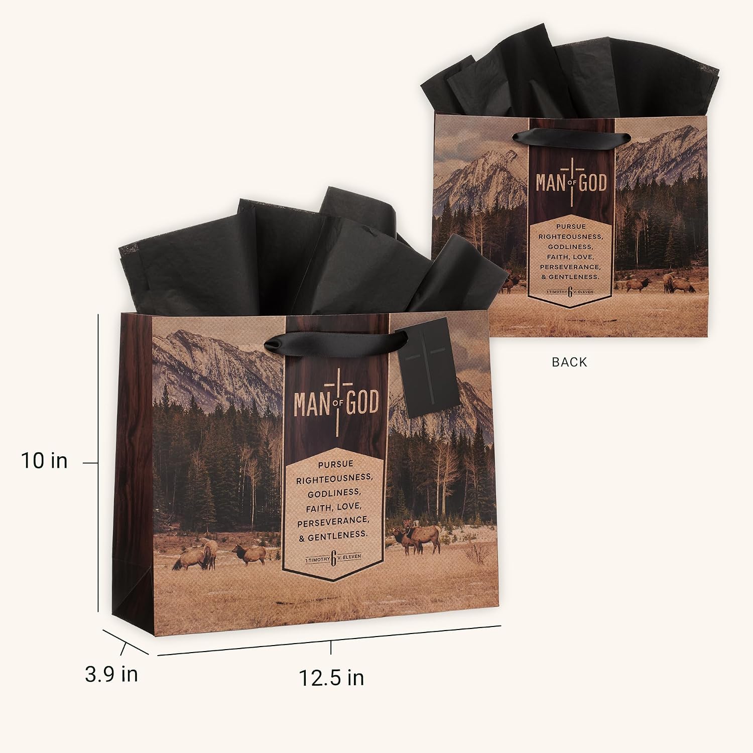 Christian Art Gifts Large Landscape Inspirational Scripture Gift Bag, Tag & Wrapping Tissue Paper Set for Men: Man of God Encouraging Bible Verse, Satin Handles, Brown