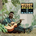 Muddy, Brass and the Blues
