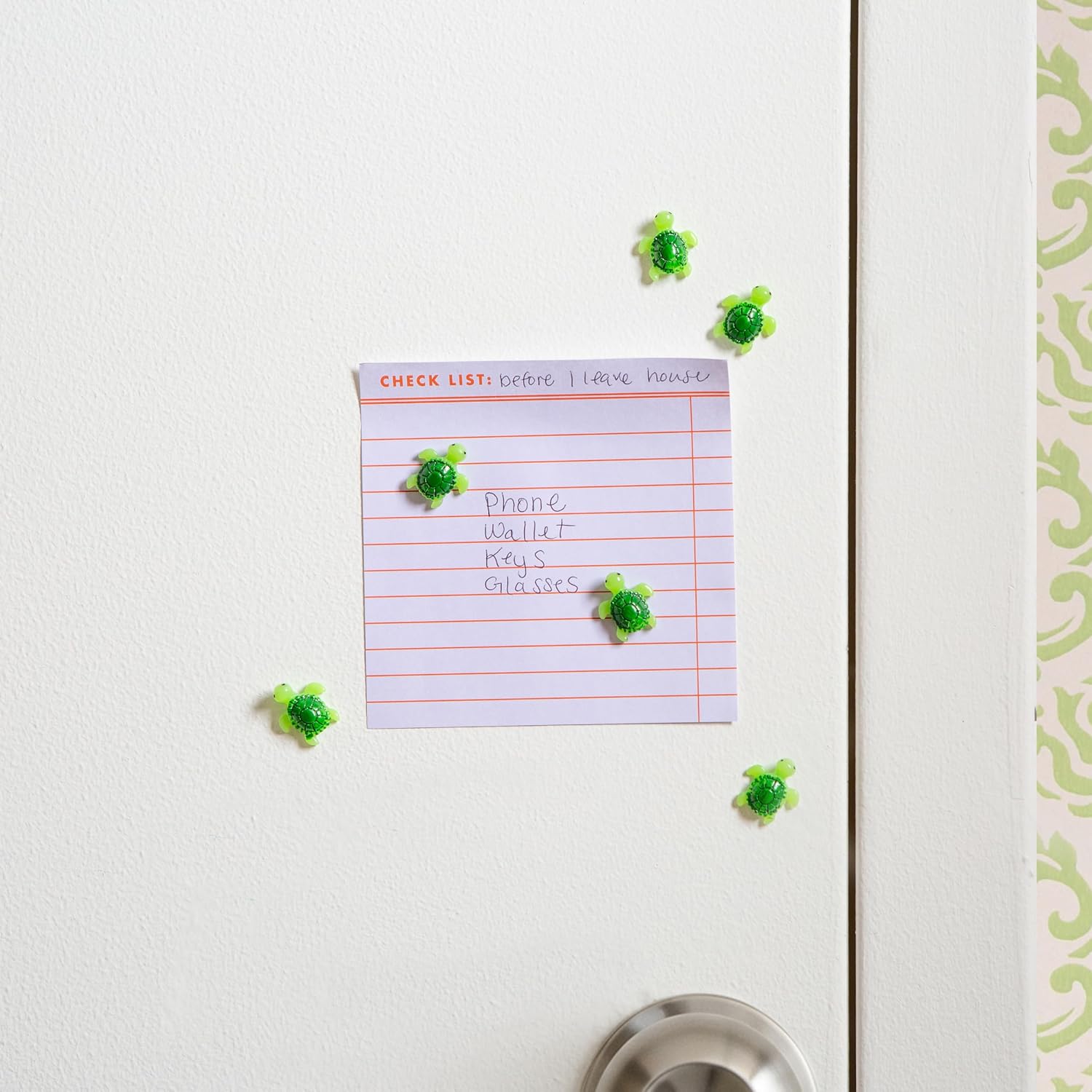 Kikkerland - Baby Turtle Magnets (Mg97)