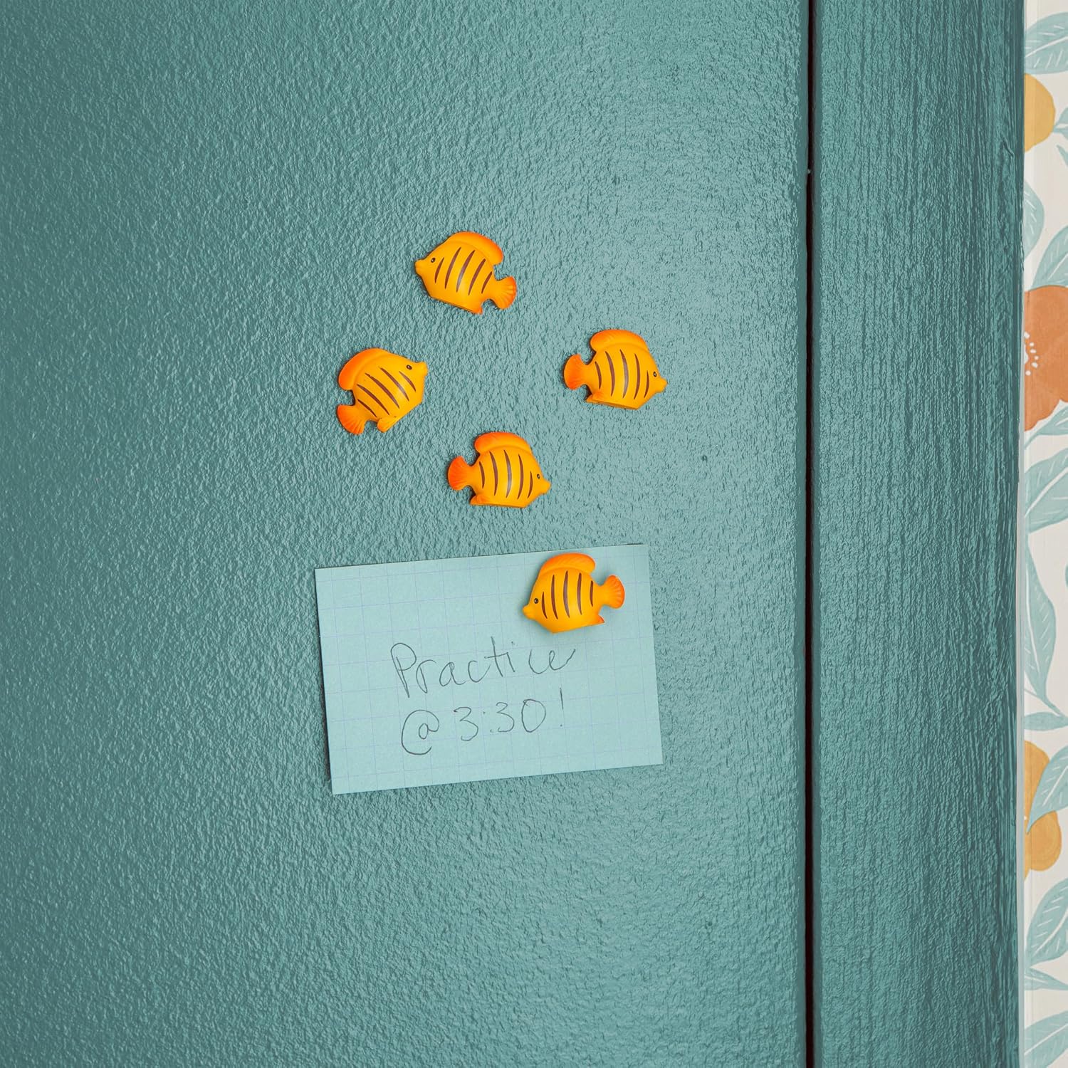 Kikkerland - Fish Magnets