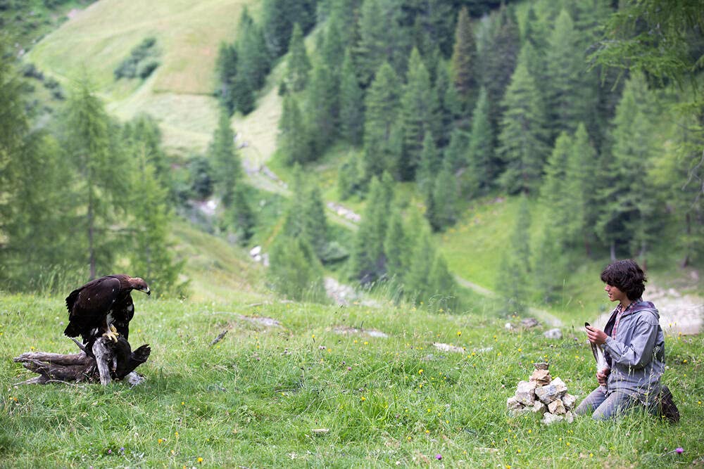 L'aigle et l'enfant