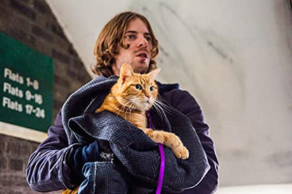 Un chat pour la vie