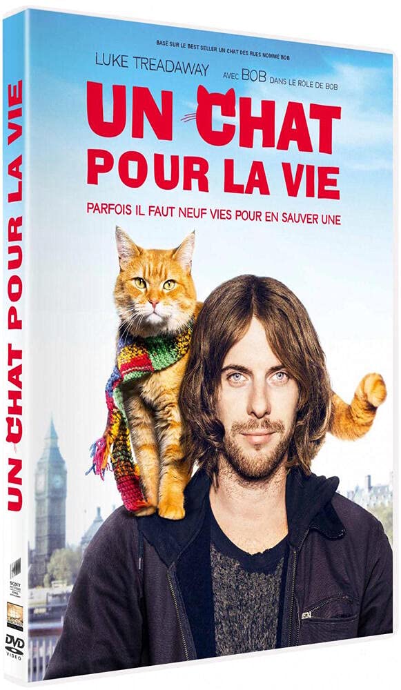 Un chat pour la vie