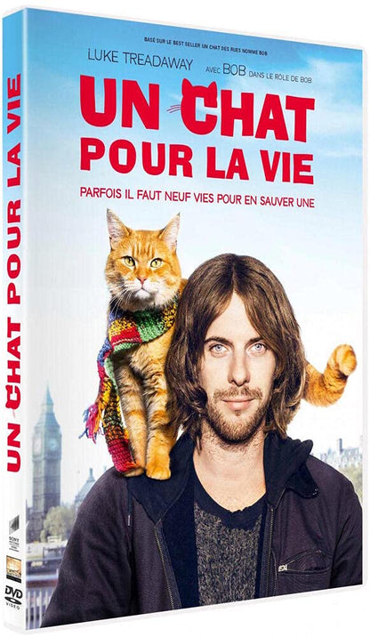 Un chat pour la vie