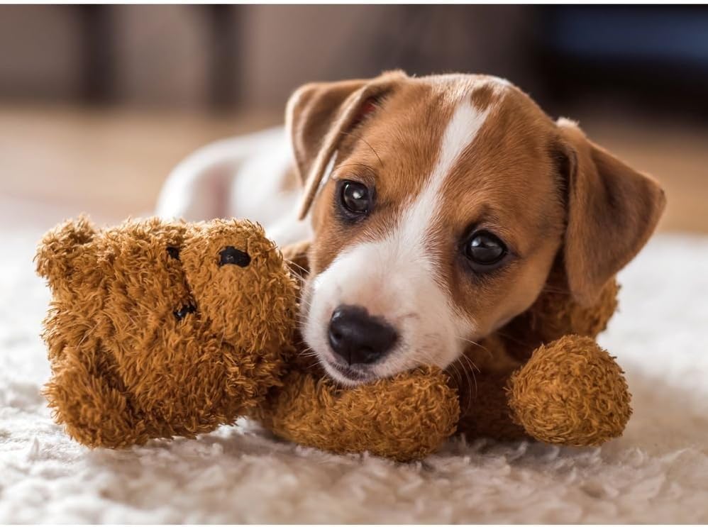 Cuddly buddies (500)