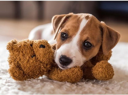 Cuddly buddies (500)