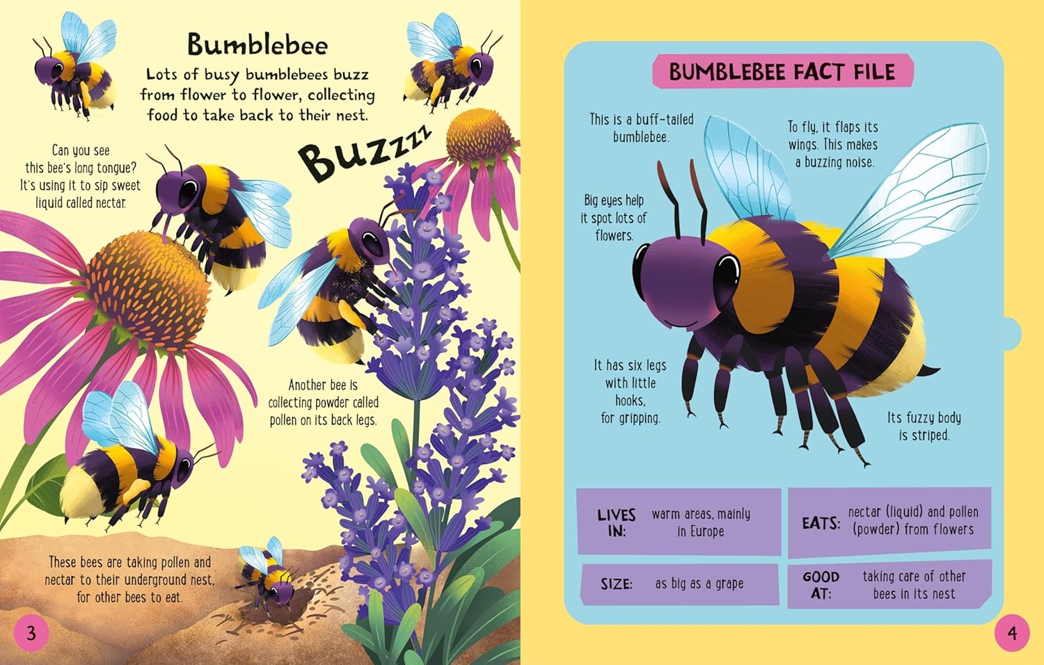 Slot-Together Bugs Book