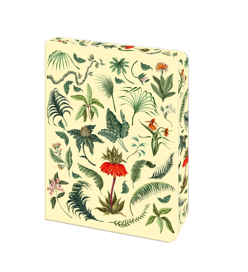 The Fern Journal: Blank Lined Notebook (Bermondsey Soft-Touch Journals
