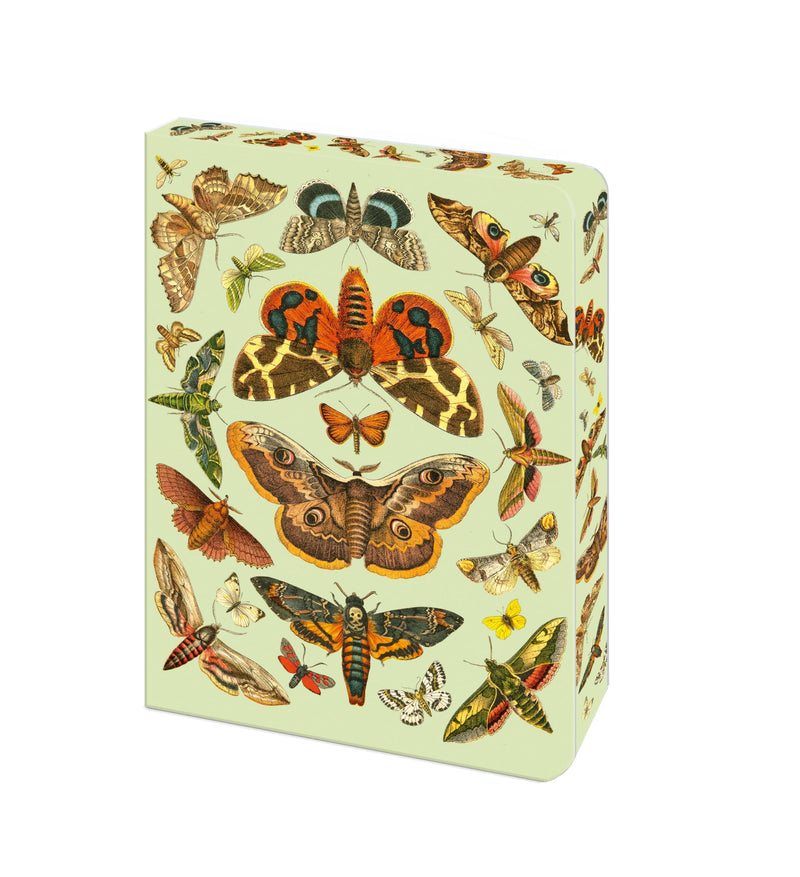 The Moth Journal: Blank Lined Notebook (Bermondsey Soft-Touch Journals