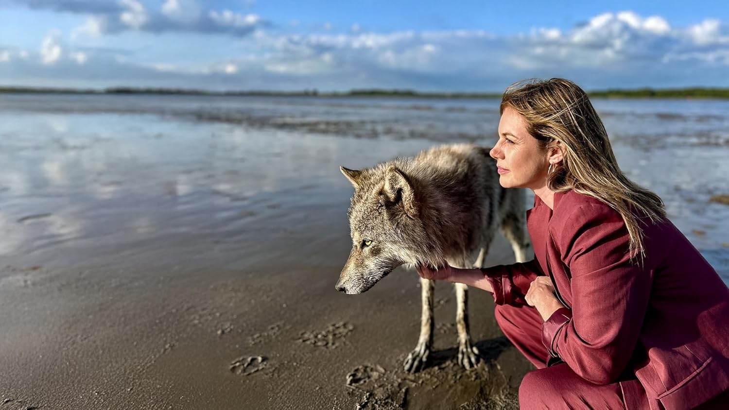 Neuer Wind im Alten Land 3: Der Wolf / Miss Altes Land