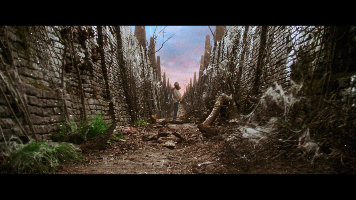 Die Reise ins Labyrinth (Steelbook, 4K-UHD+2 Blu-rays