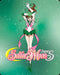 Sailor Moon SuperS: Season 4 Limited Edition Steelbook